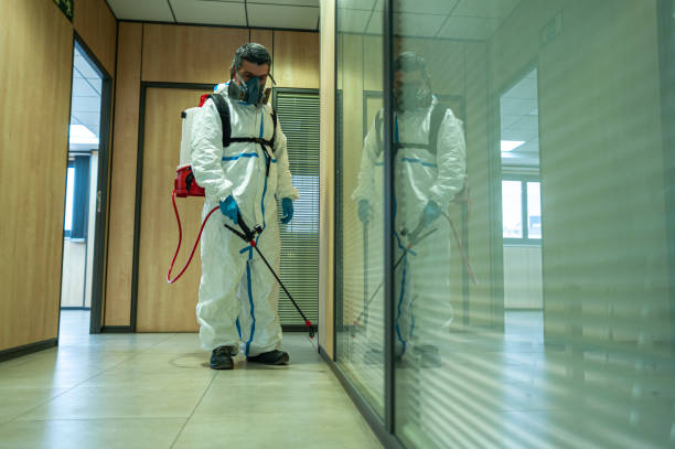 Best Commercial Pest Control  in Gorman, NC